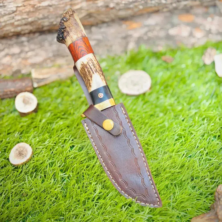 10" Handmade Damascus Steel Gut hook hunting Skinner Knife W/ Stag Horn & Wood Handle Hunt Craft Knives