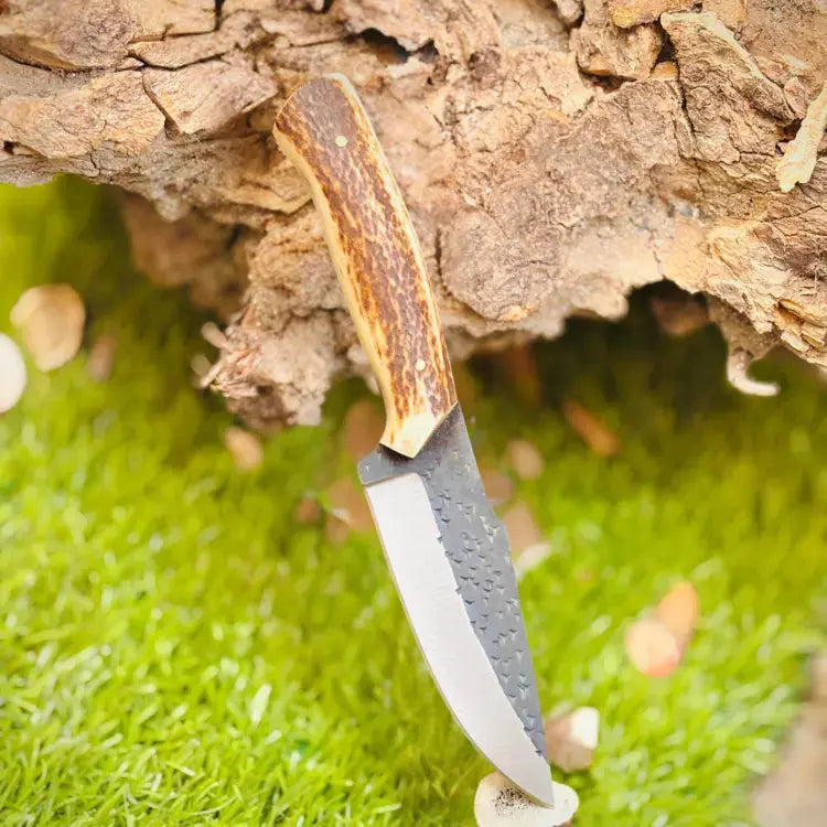 Custom Handmade Forged Stainless Steel Skinner Knife - Stag Horn Handle Hunt Craft Knives