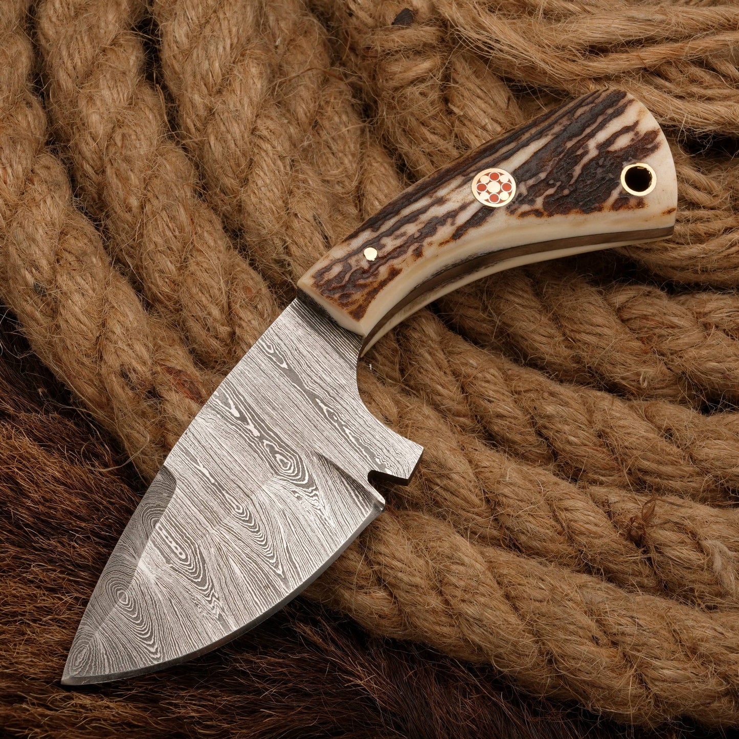 Damascus Steel Skinner hunter Knife - Stag Antler Handle - Full Tang - fixed blade hunting knife