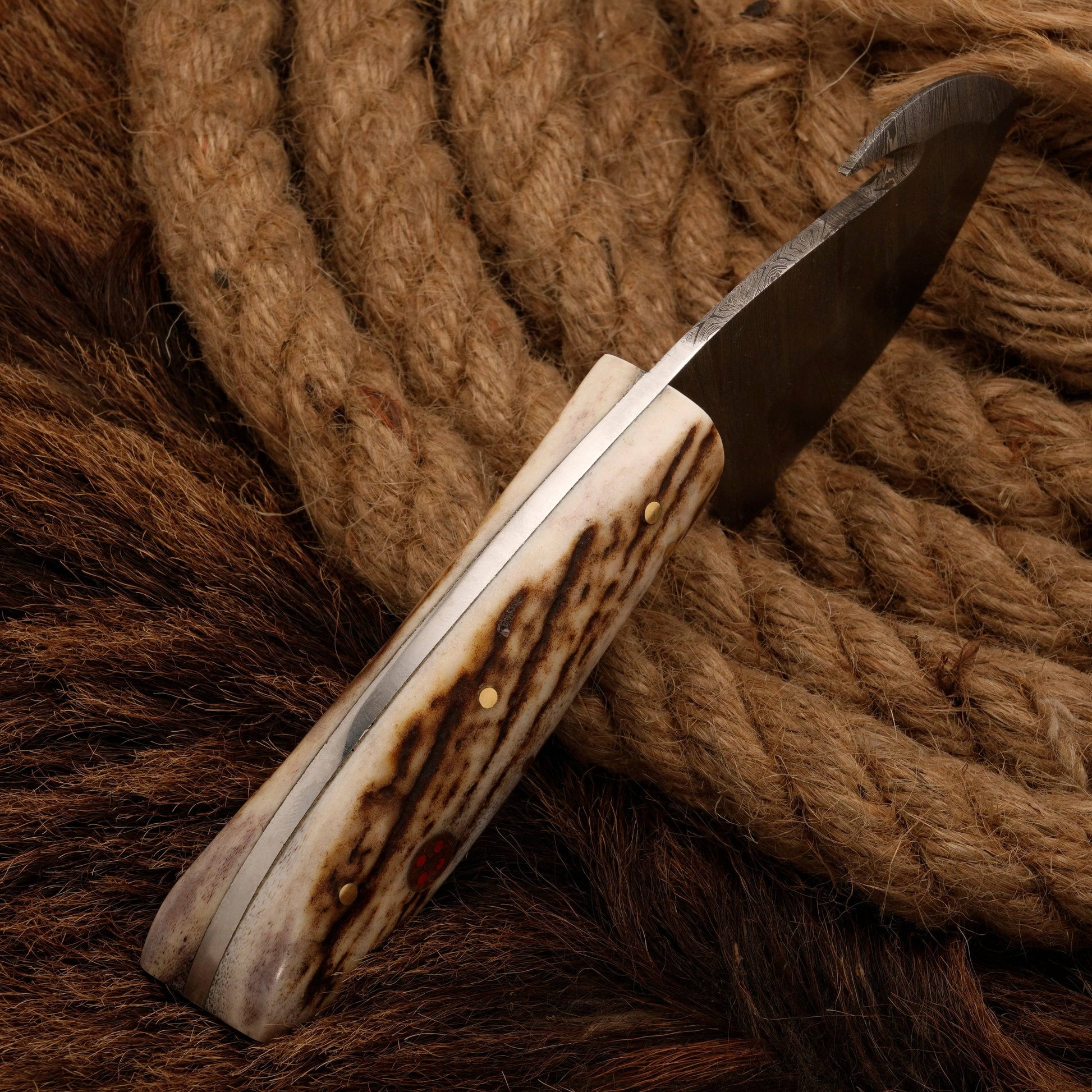 Damascus Steel Skinning Knife with Stag Horn Handle - Gut Hook - full tang - fixed blade skinner knife with stag horn handle