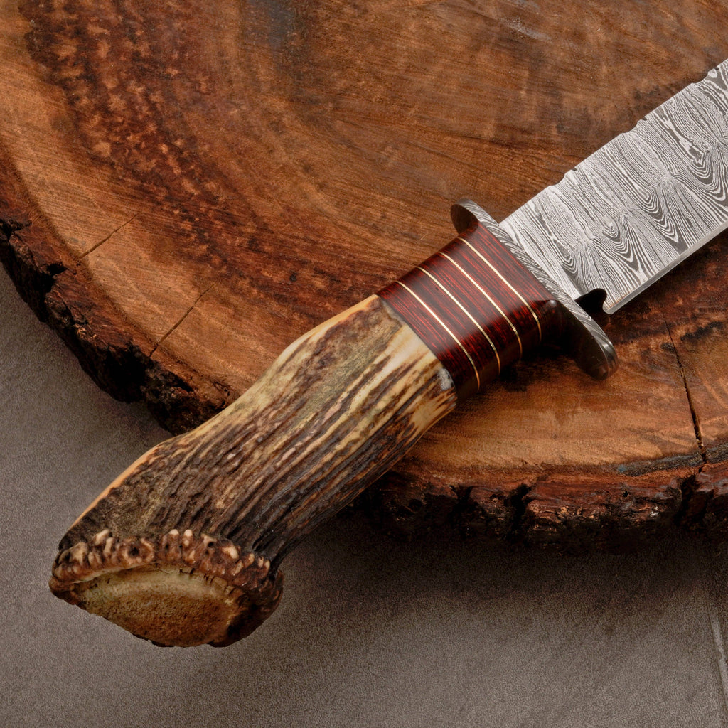 Custom Hand Forged Damascus Steel Hunting Knife EDC - Brass Guard & Stag Handle