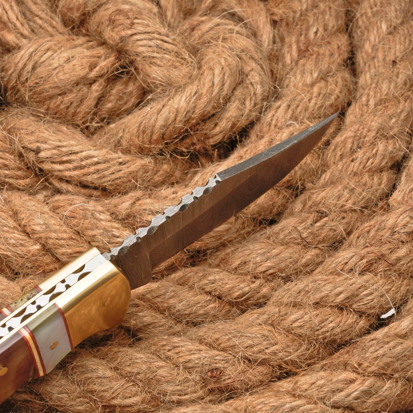 Handmade Forged Damascus Steel Hunting Camping Folding Pocket Knife With Ram Horn & Pearl Handle Brass Bolster