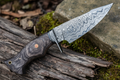 10”Custom HANDMADE FORGED DAMASCUS Steel Hunting Knife W/ Wood & Guard Handle