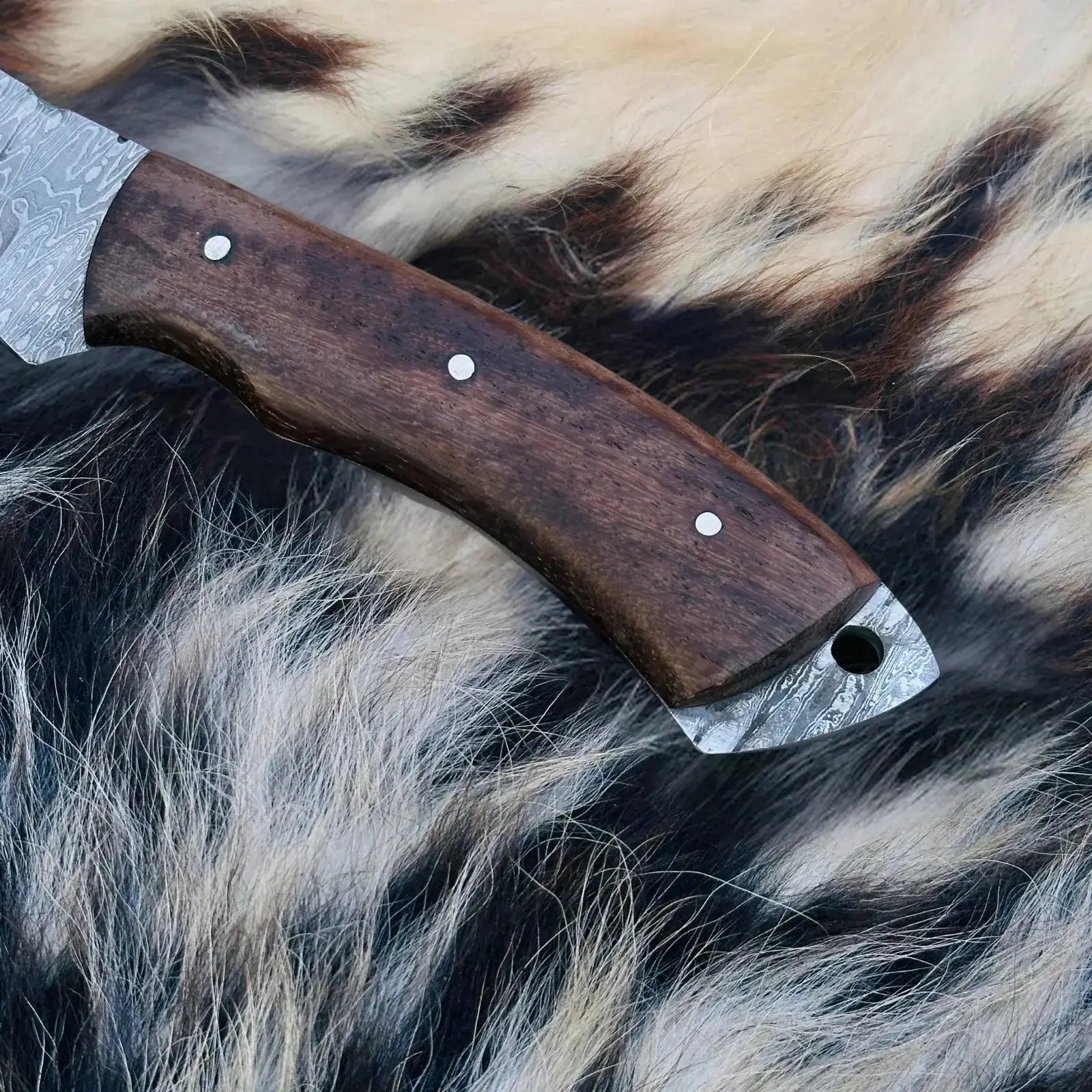 Nooraki Handmade Damascus Tracker Knife - Hunting/Camping - Full Tang, Wood & Camel Bone Handle W/ Sheath